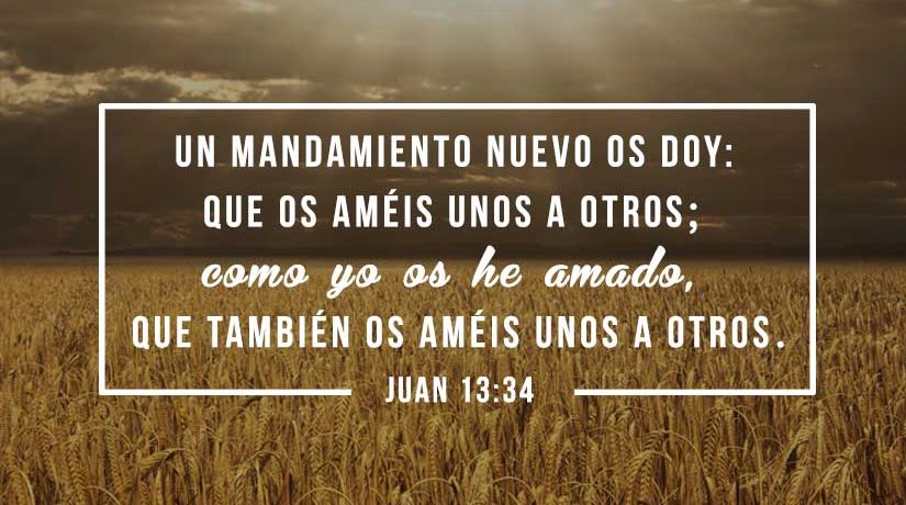 Evangelio del domingo